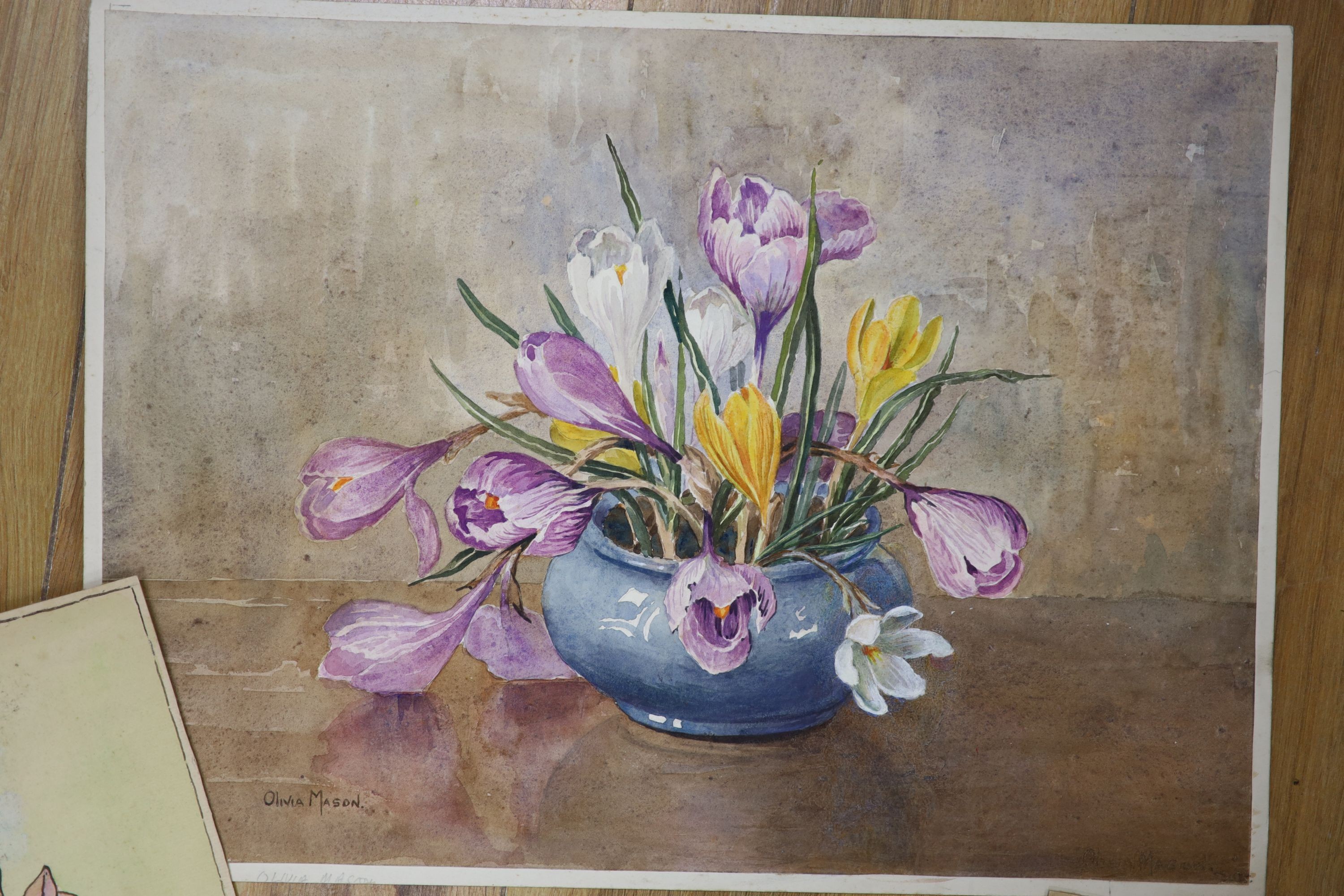 Olivia Mason (1872-1970), four still life flower studies, another of roses in a bowl, signed Holland and another watercolour of Christmas Roses